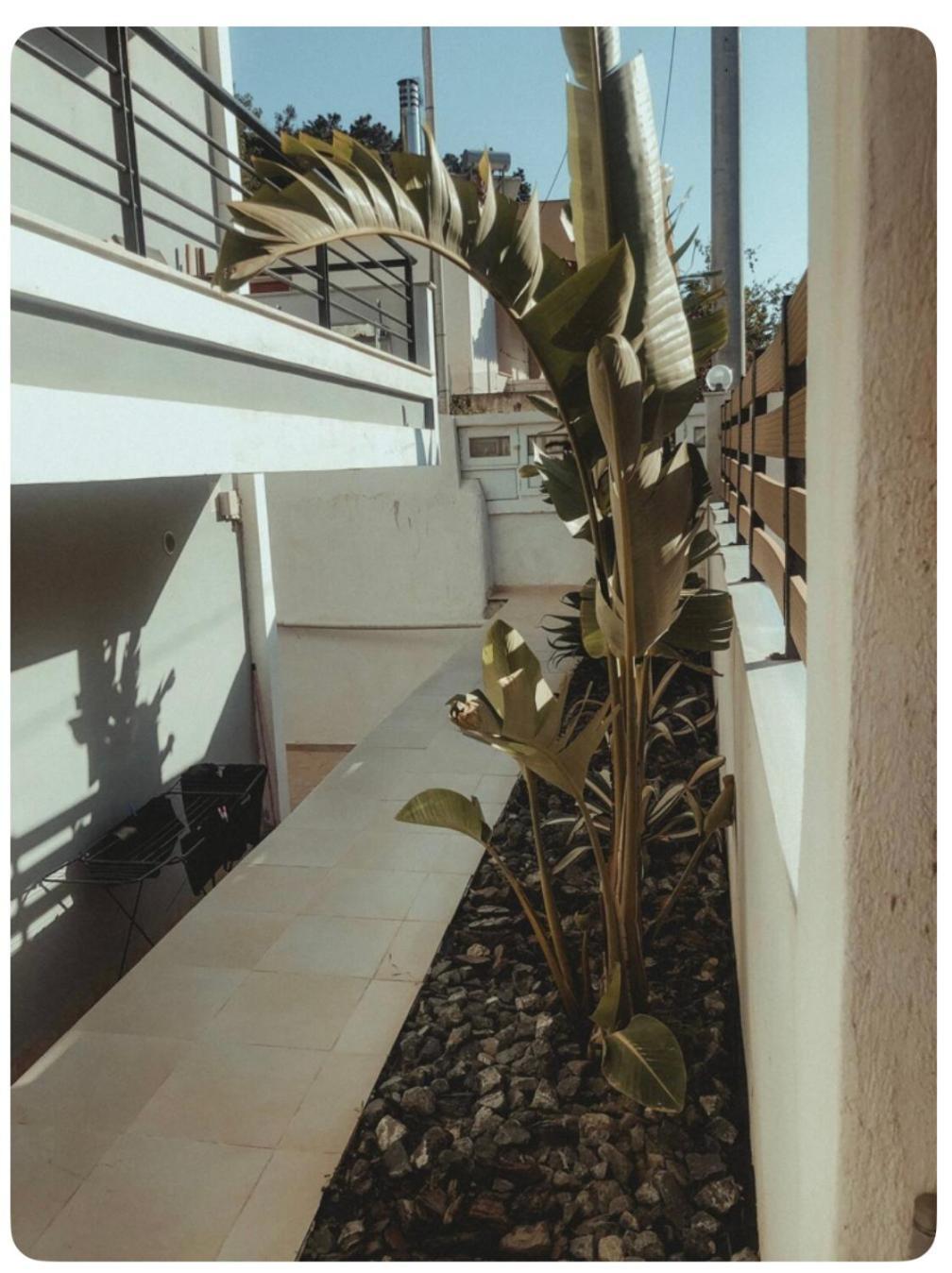 Rosemary Modern House In The City Center Corinth Exterior foto